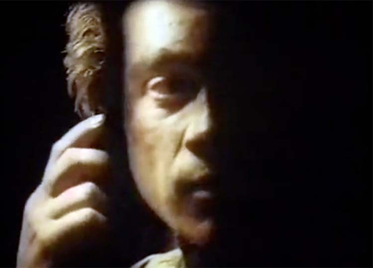   (1993)