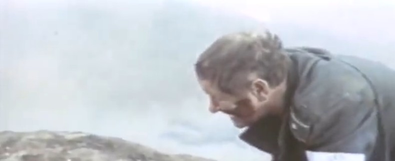   (1985)