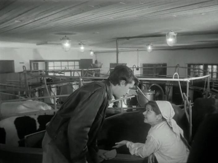  (1963)