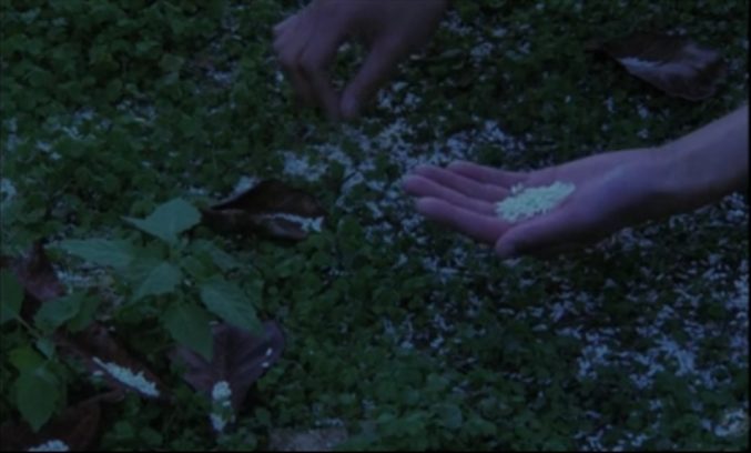 ,  (1984)