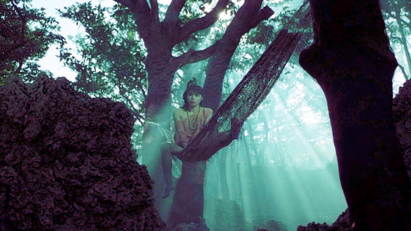 ,  (1984)