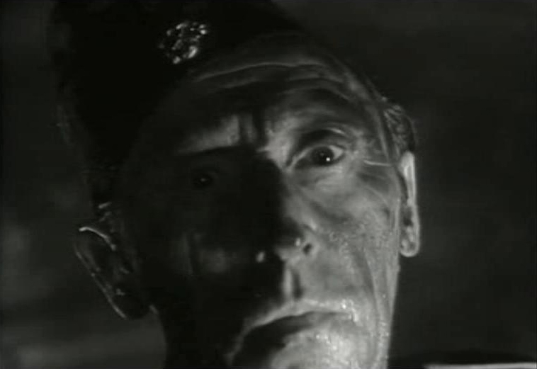  -   (1965)
