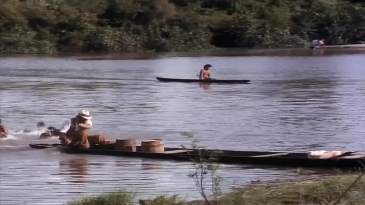 800     (1993)