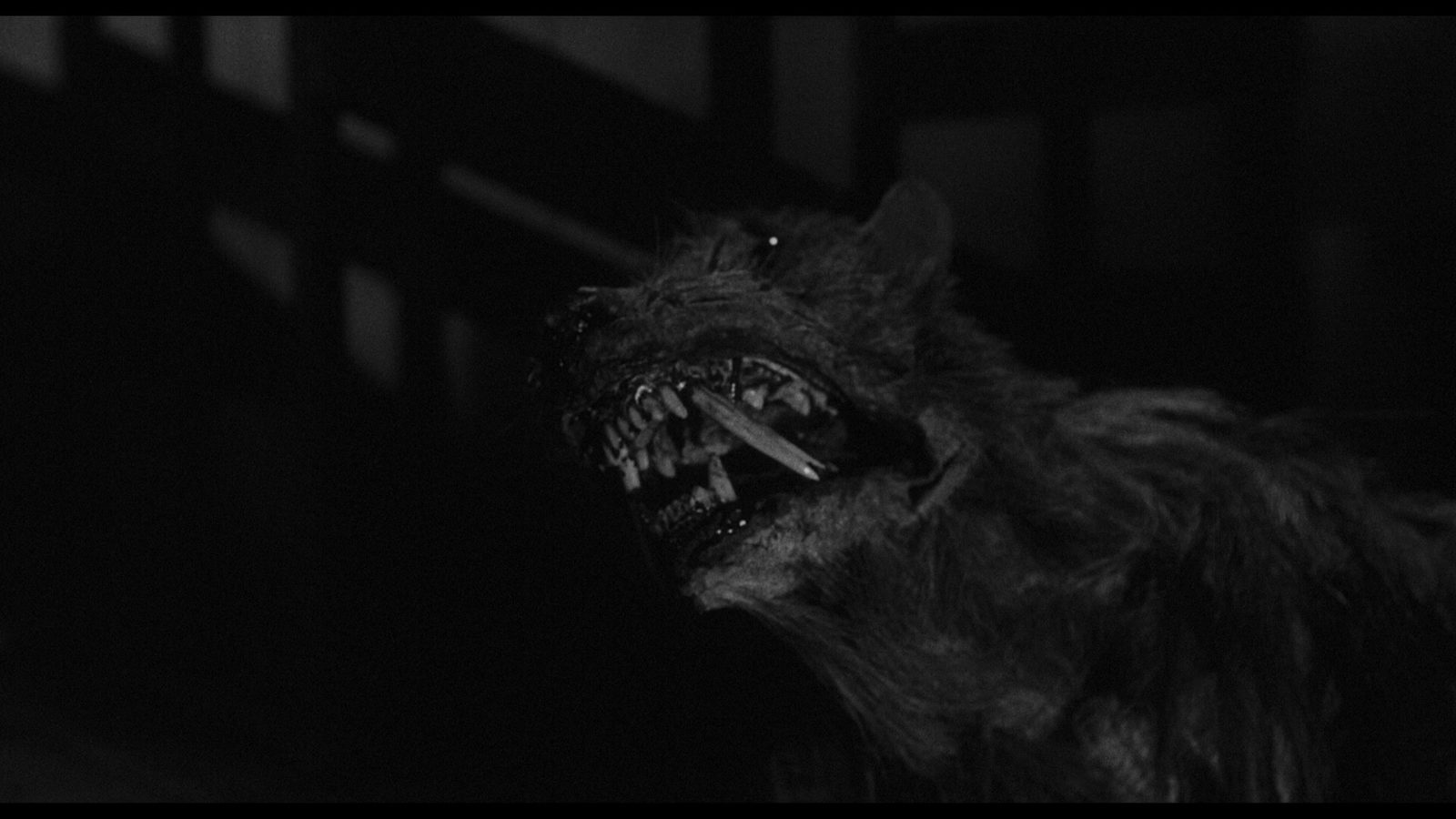 - (1959)