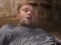  -4 (2010) 
