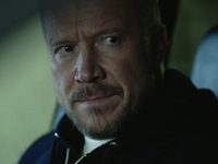   (2017)