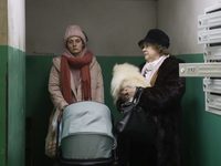  (2022)