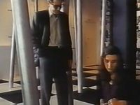     (1991)