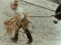     (1971) -  39