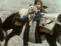     (1971) -  40
