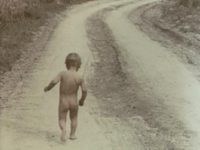     (1971) -  81