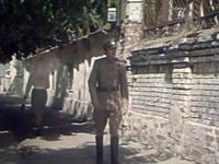  (1975) -  4