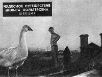       (1962) 
