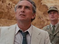  :     (1981)