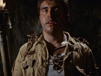  :     (1981)