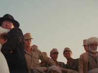  :     (1981)