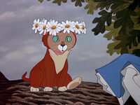     (1951)