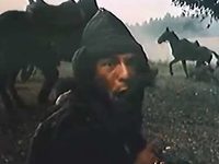   (1985) -  10