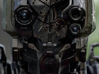    4 (2020)
