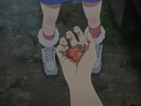     (2024)