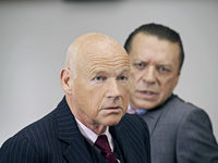    (2008)