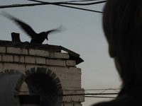 7...9 (2017) 

