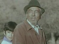     (1976) 
