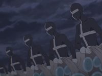     (2024) 
