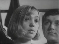       (1971)