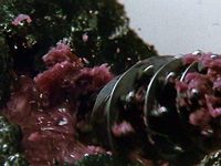 , ,  :   (2001) -  16
