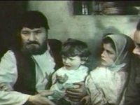 , ... (1978) -  45