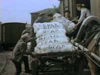    (1974) -  13
