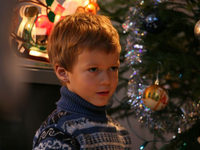  (2008)