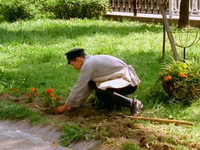  (2002) 
