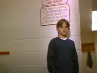  (1996)