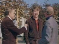    (1981) -  13