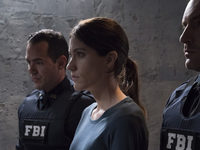   (2019) -  33