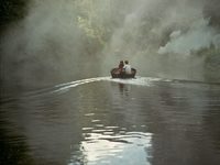  (2019)