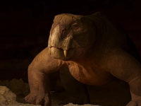     (2023) 
