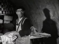   (1956) -  23