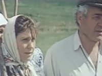   (1978)