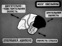    (1926)