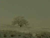   (2010) -  63