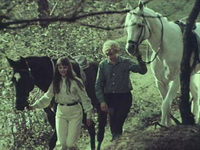   (1969) 
