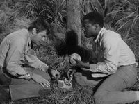    (1958) -  1