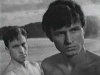    (1965) -  12