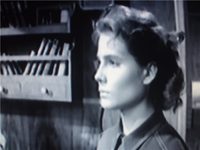    (1965)