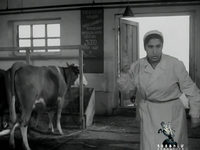   (1955) -  12