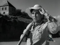   (1955) -  47