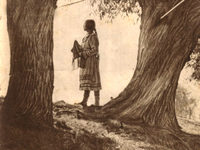 - (1927) 
